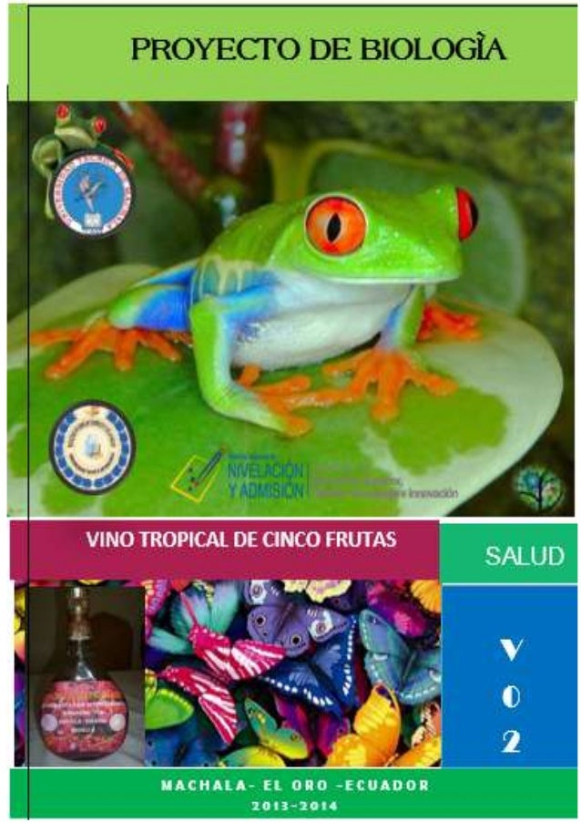 portada en word portadas word