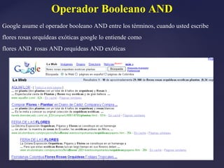 Operador Booleano AND
Google asume el operador booleano AND entre los términos, cuando usted escribe
flores rosas orquídeas exóticas google lo entiende como
flores AND rosas AND orquídeas AND exóticas
 