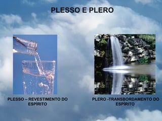 PLESSO E PLERO




PLESSO – REVESTIMENTO DO   PLERO -TRANSBORDAMENTO DO
         ESPÍRITO                    ESPÍRITO
 