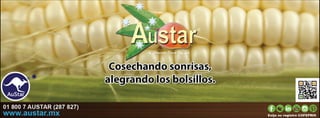 AuStar México.