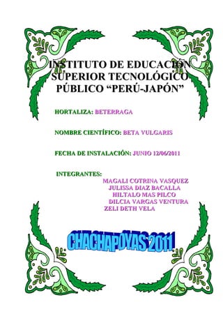 INSTITUTO DE EDUCACIÓN
 SUPERIOR TECNOLÓGICO
  PÚBLICO “PERÚ-JAPÓN”

HORTALIZA: BETERRAGA


NOMBRE CIENTÍFICO: BETA VULGARIS


FECHA DE INSTALACIÓN: JUNIO 12/06/2011


 INTEGRANTES:
                MAGALI COTRINA VASQUEZ
                 JULISSA DIAZ BACALLA
                  HILTALO MAS PILCO
                 DILCIA VARGAS VENTURA
                ZELI DETH VELA
 