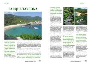SMi País                                                                                                                                                                                   SMi País




          PARQUE TAYRONA
                                                                                                        y que tiene un están-
                                                                                                        dar preciso de gestión
                                                                                                        mundial respaldado por
                                                                                                        Colombia a través del
                                                                                                        Convenio de Diversidad
                                                                                                        Biológica.
                                                                                                        Los parques nacionales na-
                                                                                                        turales son parte inalienable
                                                                                                        del patrimonio público de la
                                                                                                        Nación, y dentro de ellos, en
                                                                                                        una situación de gestión nor-
                                                                                                        mal, sólo es permitido el uso
                                                                                                        para la investigación científica
                                                                                                        y el uso público dentro de un
                                                                                                        esquema de visitas controladas.
                                                                                                        Es aquí donde surge justamente       garantizar en un parque nacio-    pobladores locales, y otra, que
                                                                                                        el desvío de la discusión. Como      nal una mayor conservación de     parece olvidada, la razón fun-
                                                                                                        no hemos tenido una gestión          la naturaleza? Sólo porque hay    damental de existencia de este
                                                                                                        histórica suficiente, sobre el       confluencia de fines o incluso    tipo de áreas, que esperamos no
                                                                                                        área protegida se han venido         mayor efectividad de medios,      caiga en el vaivén de la opinión,
                                                                                                        acumulando irregularidades,          su intervención no queda auto-    la retórica de la sostenibilidad o
                                                                                                        pretensiones y hasta un peligro-     máticamente permitida dentro      el olvido.
                                                                                                        so olvido. El asunto parece hoy      de un área protegida de este      Es un hábitat con una
                                                                                                        volcarse, sin embargo, sobre las     tipo.
                                                                                                        tierras legalmente adquiridas                                          gran cantidad de espe-
                                                                                                                                             En esto, los voceros de
                                                                                                        y en las cuales, a falta de una                                        cies, cerca de 108 espe-
                                                                                                        solución mejor, acorde con           las comunidades origi-
                                                                                                                                                                               cies de mamíferos y 300
                                                                                                        el carácter de área protegida        narias deberían hacer
                                                                                                        pública, renace otra vez la pre-                                       especies de aves que se
Renace una vez más el           aunque, como se leyó en carta del cabildo gobernador arhuaco                                                 claridad sobre lo funda-
                                publicada ayer en este diario, dicho aval proviene de quienes se        tensión de los propietarios de                                         distribuyen en regiones
debate por la construc-         creen “más indios que los indios” y desautorizan a las autorida-        desarrollar infraestructura.         mental: el parque na-             con diferentes pisos térmi-
ción de infraestructura         des centenarias de la Sierra Nevada de Santa Marta. Faltaría, para      Podría afirmarse que en los          tural como patrimonio             cos que van desde el nivel del
                                                                                                        parques naturales se puede ha-       público. Sobre esta identidad,    mar hasta alturas de 900 m. El
hotelera dentro del Par-        completar el cuadro de imprecisiones, el parecer de algún vocero
                                                                                                        cer ecoturismo, término sobre
                                de la autoridad ambiental que dijera que se trata de un “proyecto                                            y su adecuado manejo, debe-       clima variado y la aparición de
que Nacional Natural            sostenible”.                                                            el cual se basa la pretensión y el                                     diferentes tipos de lluvias en
                                                                                                                                             rían manifestarse la Unidad
Tayrona. Han hablado,           Lo que está en juego de nuevo con el parque Tayrona, como ya            estándar del proyecto en cues-       Administrativa de Parques         diversos sectores del parque son
                                                                                                        tión. Pero se confunde ecoturis-                                       unas de las razones de su gran
sin duda con más pru-           lo señalamos aquí con ocasión de la pasada controversia que
                                                                                                        mo, como un término genérico,
                                                                                                                                             Nacionales, el Ministerio del
                                creíamos cerrada, no es sólo la conservación de la naturaleza y el                                           Ambiente y Desarrollo Soste-      diversidad de flora.
dencia, los promotores          manejo ambiental; ni siquiera la muy respetable percepción de los       con el estándar técnico de la                                          En el parque también se en-
                                                                                                                                             nible y el Incoder. Un supuesto
del proyecto turístico de       pueblos indígenas asentados allí o en el gran territorio de la Sierra   actividad de uso público per-        aval indígena, aun si no fuere    cuentran restos arqueológicos
                                                                                                        mitida dentro de los parques                                           de una antigua ciudad, conoci-
lujo Six Senses.                Nevada de Santa Marta. Lo que está verdaderamente en                    nacionales naturales. ¿Qué tal si
                                                                                                                                             cuestionable, no sería de todos
También se afirma que las co-                                                                                                                modos suficiente. Una cosa es     do como „Pueblito Chairama“
munidades indígenas han dado
                                juego no es otra cosa que la figura misma de parque                     algún actor privado demostra-        el vacío histórico de gestión y   que fue parte de la cultura
un aval a la pretendida obra,   nacional natural, consagrada en la Constitución,                        ra, por ejemplo, que es capaz de     el respeto a la opinión de los    Tayrona.



                                                     Sentidos Diciembre,2012                 20                                                                  Sentidos Diciembre,2012                21
 