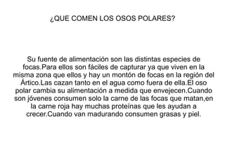 Su fuente de alimentación son las distintas especies de
focas.Para ellos son fáciles de capturar ya que viven en la
misma zona que ellos y hay un montón de focas en la región del
Ártico.Las cazan tanto en el agua como fuera de ella.El oso
polar cambia su alimentación a medida que envejecen.Cuando
son jóvenes consumen solo la carne de las focas que matan,en
la carne roja hay muchas proteínas que les ayudan a
crecer.Cuando van madurando consumen grasas y piel.
¿QUE COMEN LOS OSOS POLARES?
 