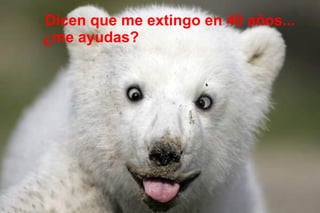 Dicen que me extingo en 40 años...
¿me ayudas?
 
