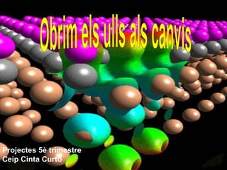 Obrim els ulls als canvis Projectes 5è trimestre Ceip Cinta Curto 