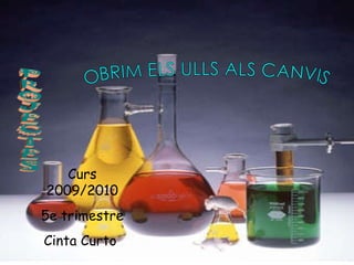 OBRIM ELS ULLS ALS CANVIS Curs 2009/2010 5e trimestre Cinta Curto  PROJECTES 
