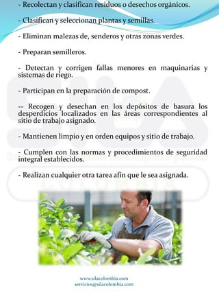 - Recolectan y clasifican residuos o desechos orgánicos. 
- Clasifican y seleccionan plantas y semillas. 
- Eliminan malezas de, senderos y otras zonas verdes. 
- Preparan semilleros. 
- Detectan y corrigen fallas menores en maquinarias y 
sistemas de riego. 
- Participan en la preparación de compost. 
-- Recogen y desechan en los depósitos de basura los 
desperdicios localizados en las áreas correspondientes al 
sitio de trabajo asignado. 
- Mantienen limpio y en orden equipos y sitio de trabajo. 
- Cumplen con las normas y procedimientos de seguridad 
integral establecidos. 
- Realizan cualquier otra tarea afín que le sea asignada. 
www.silacolombia.com 
servicios@silacolombia.com 
 