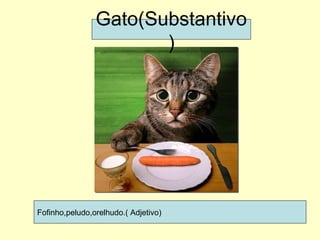 Fofinho,peludo,orelhudo.( Adjetivo) Gato(Substantivo) 