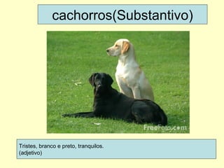 cachorros(Substantivo) Tristes, branco e preto, tranquilos. (adjetivo) 