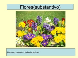 Flores(substantivo) Coloridas, grandes, lindas (adjetivos)  