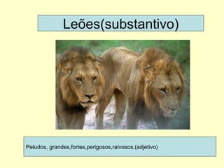 Leões(substantivo) Peludos, grandes,fortes,perigosos,raivosos.(adjetivo) 