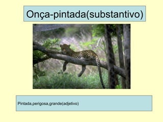 Onça-pintada(substantivo) Pintada,perigosa,grande(adjetivo) 