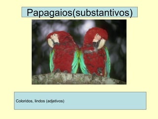 Papagaios(substantivos) Coloridos, lindos (adjetivos) 