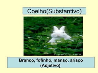 Branco, fofinho, manso, arisco (Adjetivo)  Coelho(Substantivo) 