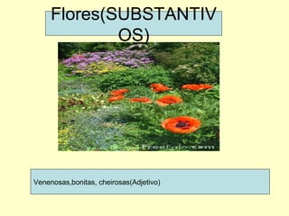 Flores(SUBSTANTIVOS) Venenosas,bonitas, cheirosas(Adjetivo) 