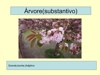 Árvore(substantivo) Grande,bonita.(Adjetivo 