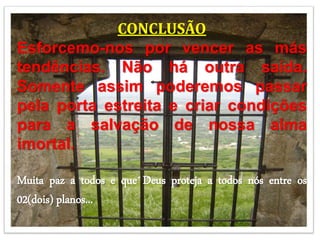CONCLUSÃO
Esforcemo-nos por vencer as más
tendências. Não há outra saída.
Somente assim poderemos passar
pela porta estreita e criar condições
para a salvação de nossa alma
imortal.
Muita paz a todos e que Deus proteja a todos nós entre os
02(dois) planos...
 