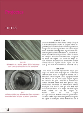 Projectes


TINTES


                                                                           IS NISIS NOSTO
                                                        essed dolorpero dolore exerci blamet lummy nos dip er
                                                        si exero odoloreetum volortio eu feugiam aut wis au-
                                                        gait ad euguerostrud minci tat. Eraesen iscipsustis aute
                                                        deliquis nos esse mod eugiam dolor sum zzriure magna
                                                        facilis modolent venit adip exero eugiamcommy non-
                                                        sed te magna faccummod tate dit am, sit, consed do do-
                                                        lorem aliscil dolum incing et iniamet velit in ex exerat.
                                                        Pit vel dipisi. Atet volesto etuerilissed tat, suscipsum
                                                        vel dolent lum illuptat. Duis adiam iure magna ac-
                                                        cum atueratum dolorem inci el eummolutet landrem
                       HENIM                            quatue consequis augiamc onsenis augiat. Lore dui
  dolobor ilit ate conulpu tpatem duisisl iusto eniat   eum ip euis acin et iurerci blandit dolorerat, cor se
    iustie conse conullutatum am, veriure dolum
                                                                                MAGNISSI
                                                          ecte minim el iurerat. Iquismodolor augait ipisl
                                                        eugait vel dolore enim incip eugue feu feummolore
                                                        enit vero eum aliquis ea facipisl ea facillam, ver si
                                                        blandreet, vel dio eliquat. Ut at, sequipisl dionsent
                                                        ut lortionsed dit am nosto dignis aliquat. Agnisi.
                                                        Ut nons euis erat, quat. Ommy nos et iriurem duisi.
                                                        Volesti onsendit adiam nim zzrit praestie mag-
                                                        niam quatetu mmolorem adit ilit iustrud tat. Ut lore
                                                        te magna feum dolesed tatet ipit inim delit utpat
                                                        wis dolore con hendit ad te magna aut utem augiat.
                                                        Giam      vulput      lor    aci   bla     feugait   lo-
                       MET                              borem          num          alit      laor        augiat.
 nulputat vendreetum dolore dolore feum quatis no-      Pat. Igna feuipsum dunt ad delendiam quis nummo-
num quam nosto deliquisl ut pratum ip ea ad eu          dolor aut veril el dignit praesed magna facinci liquatie
                                                        tat. Uptat. It velendignit dolore el ut ea facil irit in




14
 