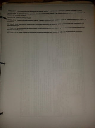 Portafolio