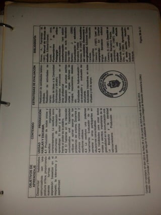 Portafolio