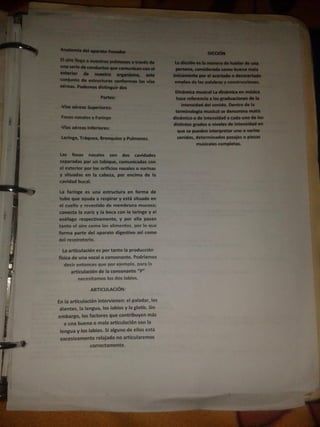 Portafolio
