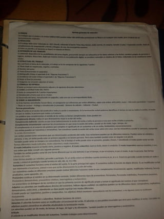Portafolio