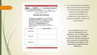  Se muestran las actividades
para que los alumnos en base
a la información recopilada
sobre los portafolios de
evidencia recopilen sus
evidencias y las suban a su
propio portafolio creado con
anterioridad.
En la actividad numero 1 lo
alumnos trabajaran con la
elaboración de un folleto, para
lograrlo deberán recopilar
información de diversas paginas
web y pondrán en practica sus
habilidades tecnológicas y los
aprendizajes esperados de la
asignatura.
 