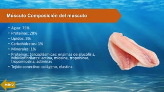 • Agua: 75%
• Proteínas: 20%
• Lípidos: 3%
• Carbohidratos: 1%
• Minerales: 1%
• Proteínas: Sarcoplásmicas: enzimas de glucólisis,
MbMiofibrilares: actina, miosina, troponinas,
tropomiosina, actininas
• Tejido conectivo: colágeno, elastina.
Músculo Composición del músculo
MENÚ
 
