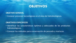 OBJETIVOS
OBJETIVO GENERAL
• Conocer procesos tecnológicos en el área de hidrobiológicos.
OBJETIVOS ESPECIFICOS
• Identificar las características óptimas y adecuadas de los productos
hidrobiológicos.
• Conocer los métodos para conservación de pescado y mariscos.
 