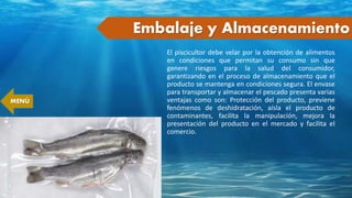 Embalaje y Almacenamiento
El piscicultor debe velar por la obtención de alimentos
en condiciones que permitan su consumo sin que
genere riesgos para la salud del consumidor,
garantizando en el proceso de almacenamiento que el
producto se mantenga en condiciones segura. El envase
para transportar y almacenar el pescado presenta varias
ventajas como son: Protección del producto, previene
fenómenos de deshidratación, aísla el producto de
contaminantes, facilita la manipulación, mejora la
presentación del producto en el mercado y facilita el
comercio.
MENÚ
 