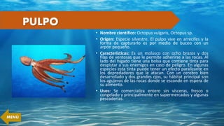 PULPO
• Nombre científico: Octopus vulgaris, Octopus sp.
• Origen: Especie silvestre. El pulpo vive en arrecifes y la
forma de capturarlo es por medio de buceo con un
arpón pequeño.
• Características: Es un molusco con ocho brazos y dos
filas de ventosas que le permite adherirse a las rocas. Al
lado del hígado tiene una bolsa que contiene tinta para
despistar a sus enemigos en caso de peligro. En algunas
especies esta tinta puede tener un efecto paralizante en
los depredadores que le atacan. Con un cerebro bien
desarrollado y dos grandes ojos, su hábitat principal son
los agujeros de las rocas donde se esconde en espera de
su alimento.
• Usos: Se comercializa entero sin vísceras, fresco o
congelado y principalmente en supermercados y algunas
pescaderías.
MENÚ
 
