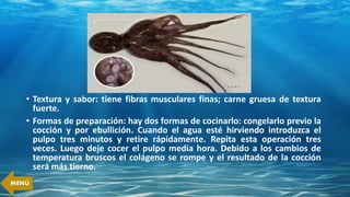 • Textura y sabor: tiene fibras musculares finas; carne gruesa de textura
fuerte.
• Formas de preparación: hay dos formas de cocinarlo: congelarlo previo la
cocción y por ebullición. Cuando el agua esté hirviendo introduzca el
pulpo tres minutos y retire rápidamente. Repita esta operación tres
veces. Luego deje cocer el pulpo media hora. Debido a los cambios de
temperatura bruscos el colágeno se rompe y el resultado de la cocción
será más tierno.
MENÚ
 