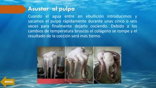Asustar al pulpo
Cuando el agua entre en ebullición introducimos y
sacamos el pulpo rápidamente durante unas cinco o seis
veces para finalmente dejarlo cociendo. Debido a los
cambios de temperatura bruscos el colágeno se rompe y el
resultado de la cocción será más tierno.
MENÚ
 