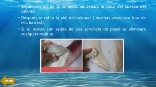 • Seguidamente de la limpieza, se separa la boca del cuerpo del
calamar
• Después se retira la piel del calamar ( muchas veces con tirar de
ella bastará).
• Si se resiste con ayuda de una servilleta de papel se eliminará
cualquier residuo.
MENÚ
 
