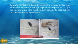 • Después se quita la boca del calamar y la zona de los ojos.
También la parte del estómago, dejando una especie de “V” que
tiene dentro y que es lo más tierno del calamar. Se deja la bolsa
de tinta y los brazos y tentáculos
MENÚ
 