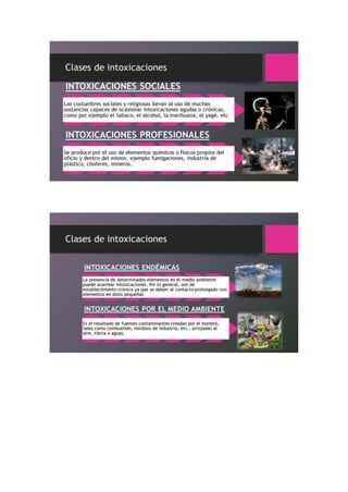 Portafolio de toxicologia