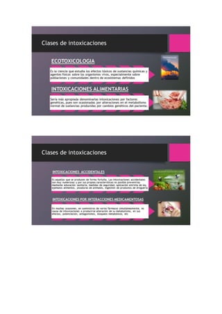 Portafolio de toxicologia