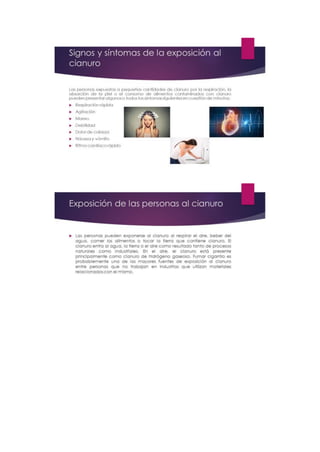 Portafolio de toxicologia