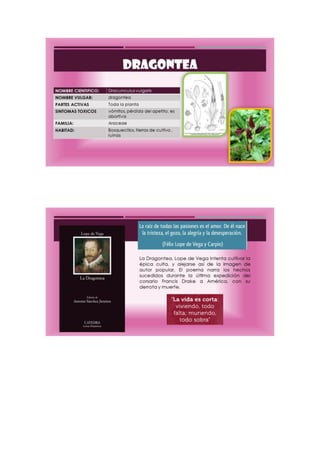 Portafolio de toxicologia