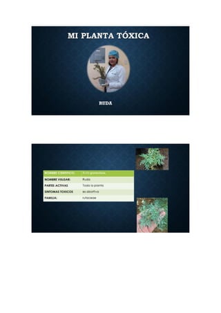 Portafolio de toxicologia