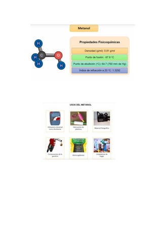Portafolio de toxicologia