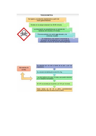 Portafolio de toxicologia