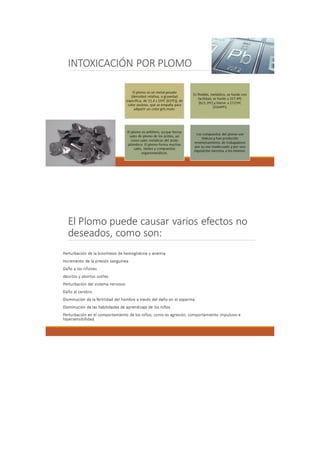 Portafolio de toxicologia