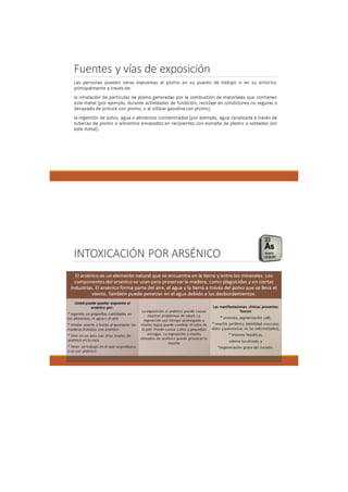 Portafolio de toxicologia