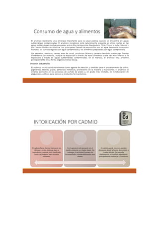 Portafolio de toxicologia