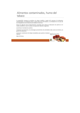 Portafolio de toxicologia