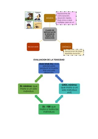 EVALUACION DE LA TOXICIDAD
CLASES DE
INTOXICACIÓ
N SEGUN EL
TIEMPO DE
DURACION
AGUDA
CRÓNICARECIDIVANTE
dosis letal( DL): dosis
precisa para
producir la muerte
tras una sola
absorción.
GRDL minima:
que mata a un
solo individuo
AVE
DL -100 que
mata a todos los
individuos
DL minima: que
mata a un solo
individuo
Exposiciones de
corta duración,
absorción rápida.
Dosis única o dosis
múltiples, pero en un
periodo breve
Exposiciones de larga
repetidas duración.
 