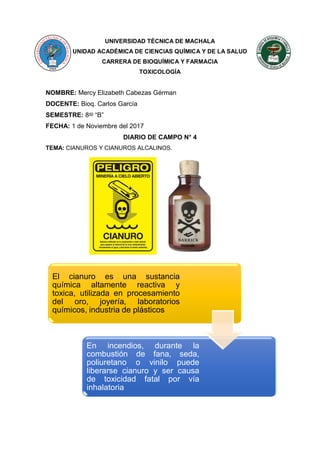 UNIVERSIDAD TÉCNICA DE MACHALA
UNIDAD ACADÉMICA DE CIENCIAS QUÍMICA Y DE LA SALUD
CARRERA DE BIOQUÍMICA Y FARMACIA
TOXICOLOGÍA
NOMBRE: Mercy Elizabeth Cabezas Gérman
DOCENTE: Bioq. Carlos García
SEMESTRE: 8vo
“B”
FECHA: 1 de Noviembre del 2017
DIARIO DE CAMPO N° 4
TEMA: CIANUROS Y CIANUROS ALCALINOS.
El cianuro es una sustancia
química altamente reactiva y
toxica, utilizada en procesamiento
del oro, joyería, laboratorios
químicos, industria de plásticos
En incendios, durante la
combustión de fana, seda,
poliuretano o vinilo puede
liberarse cianuro y ser causa
de toxicidad fatal por vía
inhalatoria
 