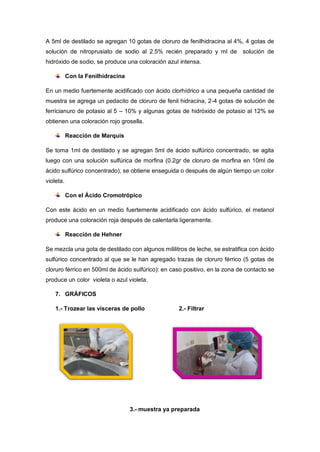 A 5ml de destilado se agregan 10 gotas de cloruro de fenilhidracina al 4%, 4 gotas de
solución de nitroprusiato de sodio al 2.5% recién preparado y ml de solución de
hidróxido de sodio, se produce una coloración azul intensa.
Con la Fenilhidracina
En un medio fuertemente acidificado con ácido clorhídrico a una pequeña cantidad de
muestra se agrega un pedacito de cloruro de fenil hidracina, 2-4 gotas de solución de
ferricianuro de potasio al 5 – 10% y algunas gotas de hidróxido de potasio al 12% se
obtienen una coloración rojo grosella.
Reacción de Marquis
Se toma 1ml de destilado y se agregan 5ml de ácido sulfúrico concentrado, se agita
luego con una solución sulfúrica de morfina (0.2gr de cloruro de morfina en 10ml de
ácido sulfúrico concentrado), se obtiene enseguida o después de algún tiempo un color
violeta.
Con el Ácido Cromotrópico
Con este ácido en un medio fuertemente acidificado con ácido sulfúrico, el metanol
produce una coloración roja después de calentarla ligeramente.
Reacción de Hehner
Se mezcla una gota de destilado con algunos mililitros de leche, se estratifica con ácido
sulfúrico concentrado al que se le han agregado trazas de cloruro férrico (5 gotas de
cloruro férrico en 500ml de ácido sulfúrico): en caso positivo, en la zona de contacto se
produce un color violeta o azul violeta.
7. GRÁFICOS
1.- Trozear las vísceras de pollo 2.- Filtrar
3.- muestra ya preparada
 