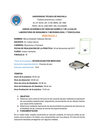 UNIVERSIDAD TÉCNICA DE MACHALA
“Calidad pertenencia y calidez”
D.L.N° 69-04, DE 14 DE ABRIL DE 1969
PROV. DE EL ORO-REP. DEL ECUADOR
UNIDAD ACADÉMICA DE CIENCIAS QUÍMICA Y DE LA SALUD
LABORATORIO DE BIOQUIMICA Y MICROBIOLOGIA, Y TOXICOLOGIA
PRÁCTICA N° 3
NOMBRE: Mercy Elizabeth Cabezas Gérman
DOCENTE: Dr. Carlos García
CARRERA: Bioquímica y Farmacia
FECHA DE REALIZACION DE LA PRÁCTICA: 29 de Noviembre del 2017
CURSO: Octavo semestre
PARALELO: “B”
Título de la práctica: INTOXICACION POR MERCURIO
Animal de experimentación: Vísceras de pez
Volumen administrado: 10ml
TIEMPOS:
Inicio de la práctica: 09:25 am
Hora de disección: 09:26 am
Hora de inicio de Destilado: 09:38 am
Hora de finalización de Destilado: 09:42 am
Hora finalización de la práctica: 10:54 am
1. OBJETIVO
Observar como actúa el mercurio en las vísceras del pez mediante la exposición
de una práctica experimental, adquiriendo conocimientos de los efectos tóxicos
que causa dicha sustancia.
Determinar mediante reacciones de reconocimiento la presencia de mercurio en
el destilado de las vísceras de animal de experimentación.
2. FUNDAMENTACION
Es un metal noble, soluble únicamente en solución oxidante. El mercurio solido es tan
suave como el plomo. El metal y sus componentes son muy tóxicos. El mercurio forma
soluciones llamadas amalgamas con algunos metales.
10
 
